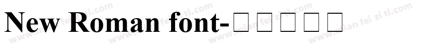 New Roman font字体转换